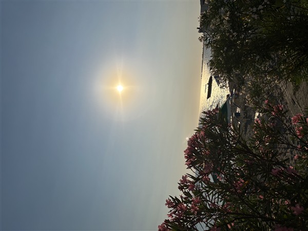 IMG 0123